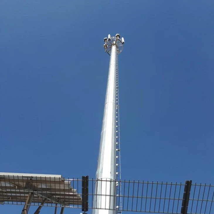 Monopoles